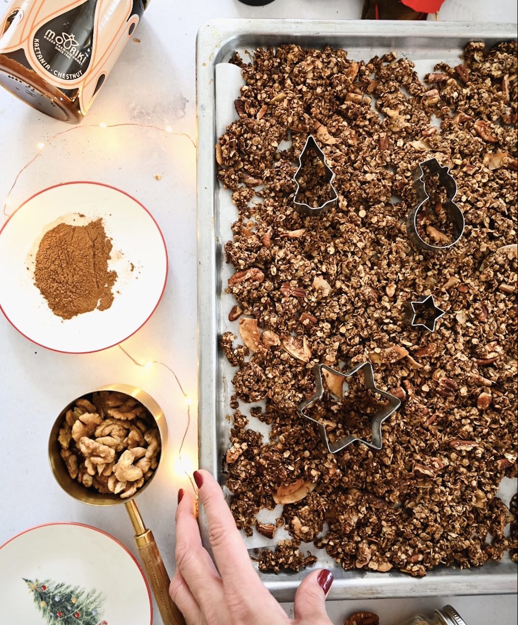 granola-gingerbread-e1733938717721.jpeg